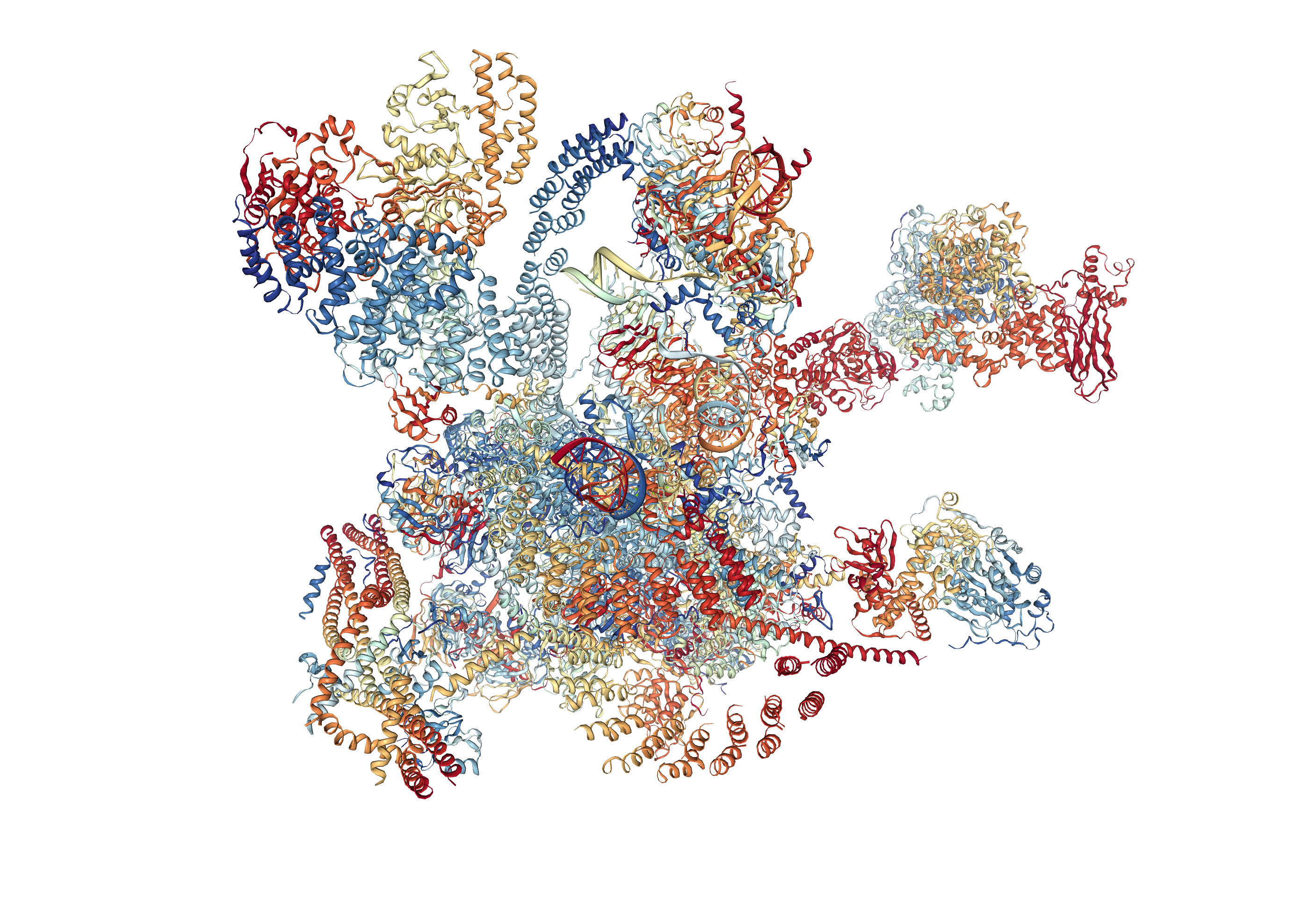 spliceosome